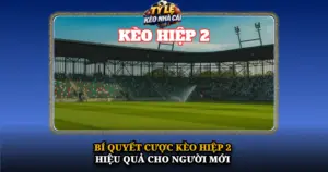 Bi Quyet Cuoc Keo Hiep 2 Hieu Qua Cho Nguoi Moi Img