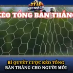 Bi Quyet Cuoc Keo Tong Ban Thang Cho Nguoi Moi Img