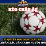 Bí Quyết Đọc Kèo Châu Âu Chuẩn Xác Dành Cho Người Mới 6 Bi Quyet Doc Keo Chau Au Chuan Xac Danh Cho Nguoi Moi Img