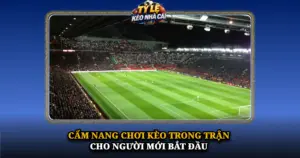 Cam Nang Choi Keo Trong Tran Cho Nguoi Moi Bat Dau Img