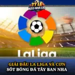 Giải Đấu La Liga Và Cơn Sốt Bóng Đá Tây Ban Nha 6 Giai Dau La Liga Va Con Sot Bong Da Tay Ban Nha Img