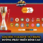 Giải Đấu V-League Và Chặng Đường Phát Triển Đỉnh Cao 6 Giai Dau V League Va Chang Duong Phat Trien Dinh Cao Img