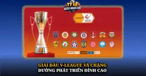 Giai Dau V League Va Chang Duong Phat Trien Dinh Cao Img