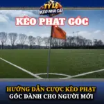 Hướng Dẫn Cược Kèo Phạt Góc Dành Cho Người Mới 6 Huong Dan Cuoc Keo Phat Goc Danh Cho Nguoi Moi Img