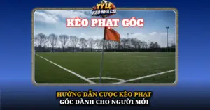 Huong Dan Cuoc Keo Phat Goc Danh Cho Nguoi Moi Img