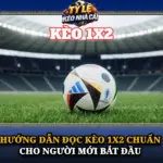 Huong Dan Doc Keo 1X2 Chuan Cho Nguoi Moi Bat Dau Img