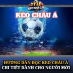 Hướng Dẫn Đọc Kèo Châu Á Chi Tiết Dành Cho Người Mới 6 Huong Dan Doc Keo Chau A Chi Tiet Danh Cho Nguoi Moi Img
