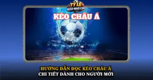 Huong Dan Doc Keo Chau A Chi Tiet Danh Cho Nguoi Moi Img