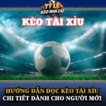 Hướng Dẫn Đọc Kèo Tài Xỉu Chi Tiết Dành Cho Người Mới 6 Huong Dan Doc Keo Tai Xiu Chi Tiet Danh Cho Nguoi Moi Img