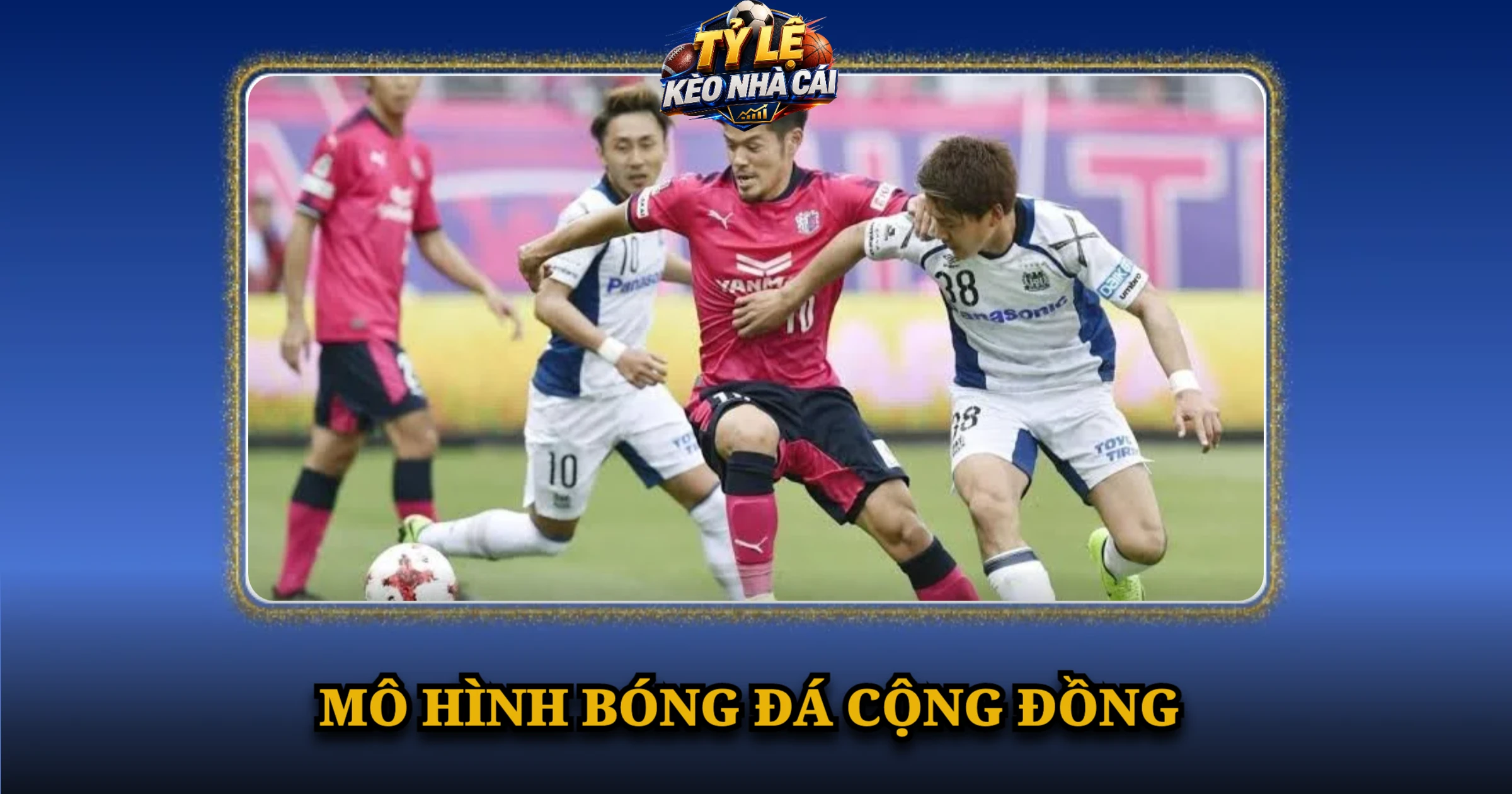 Giải VĐQG Nhật Bản Và Hành Trình Vươn Tầm Châu Á 4 Mô Hình Bóng Đá Cộng Đồng