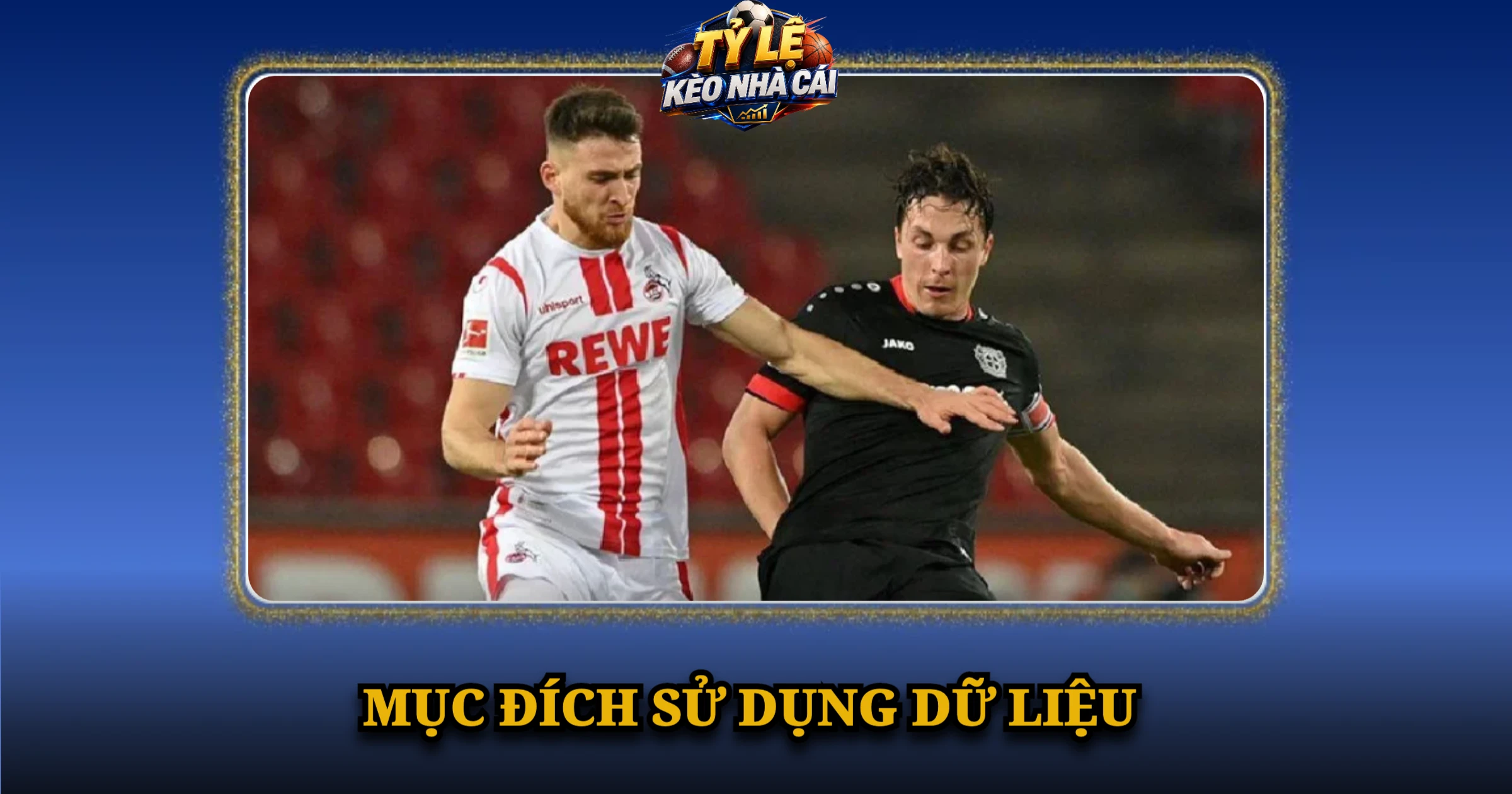 Chính Sách Riêng Tư – Cookie & Bảo Vệ Dữ Liệu 2 Mục đích sử dụng dữ liệu